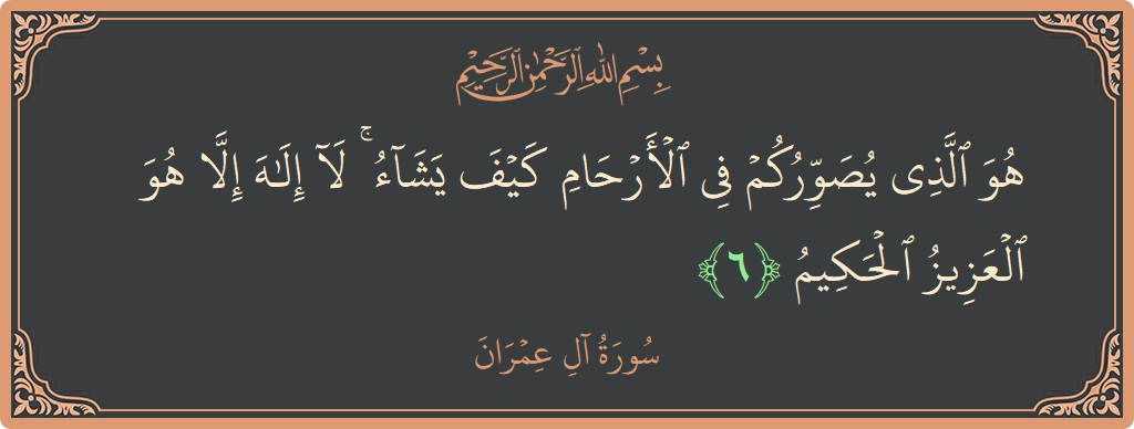 Verse 6 - Surah Aal-i-Imraan: (هو الذي يصوركم في الأرحام كيف يشاء ۚ لا إله إلا هو العزيز الحكيم...) - English