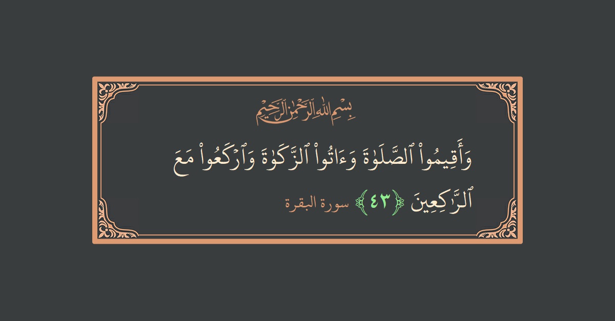 Verse 43 - Surah Al-Baqara: (وأقيموا الصلاة وآتوا الزكاة واركعوا مع الراكعين...) - English
