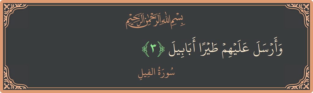 Verse 3 - Surah Al-Fil: (وأرسل عليهم طيرا أبابيل...) - English