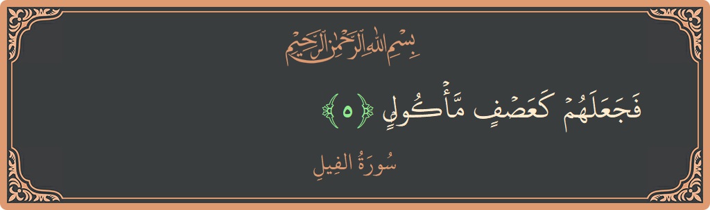 Verse 5 - Surah Al-Fil: (فجعلهم كعصف مأكول...) - English