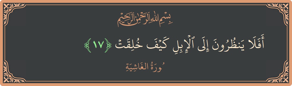 Verse 17 - Surah Al-Ghaashiya: (أفلا ينظرون إلى الإبل كيف خلقت...) - English