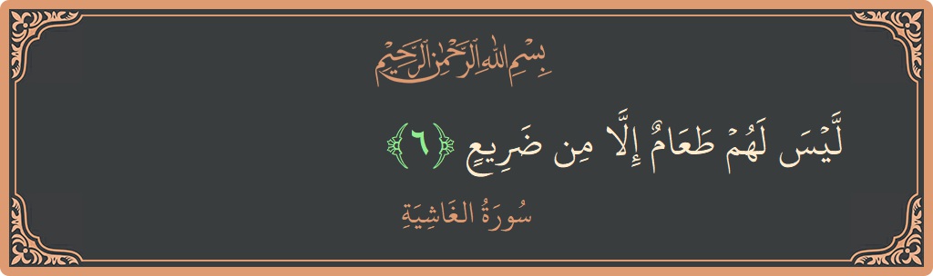 Verse 6 - Surah Al-Ghaashiya: (ليس لهم طعام إلا من ضريع...) - English