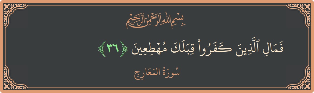 Ayat 36 - Surat Al-Ma'aarij: (فمال الذين كفروا قبلك مهطعين...) - Indonesia