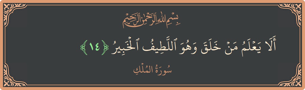 Verse 14 - Surah Al-Mulk: (ألا يعلم من خلق وهو اللطيف الخبير...) - English
