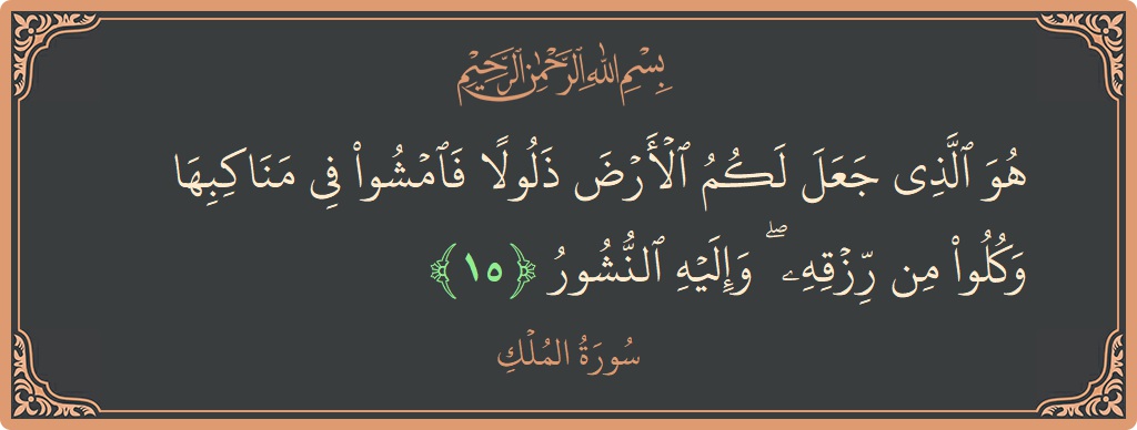 Verse 15 - Surah Al-Mulk: (هو الذي جعل لكم الأرض ذلولا فامشوا في مناكبها وكلوا من رزقه ۖ وإليه النشور...) - English