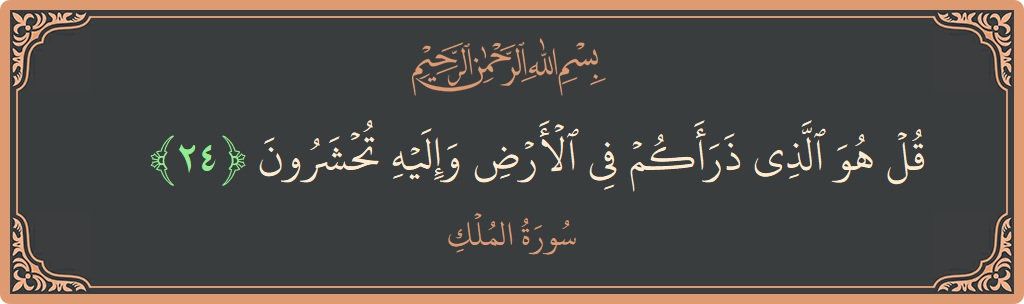 Verse 24 - Surah Al-Mulk: (قل هو الذي ذرأكم في الأرض وإليه تحشرون...) - English