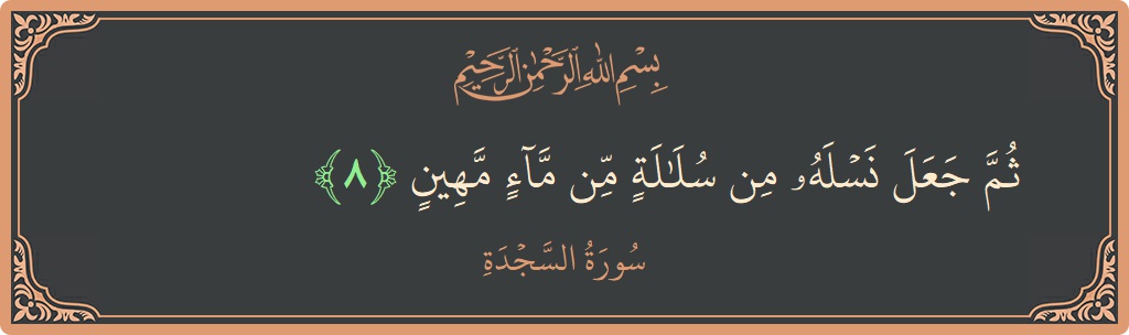 Verse 8 - Surah As-Sajda: (ثم جعل نسله من سلالة من ماء مهين...) - English