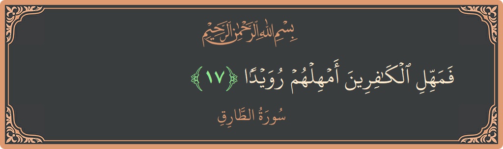 Verse 17 - Surah At-Taariq: (فمهل الكافرين أمهلهم رويدا...) - English