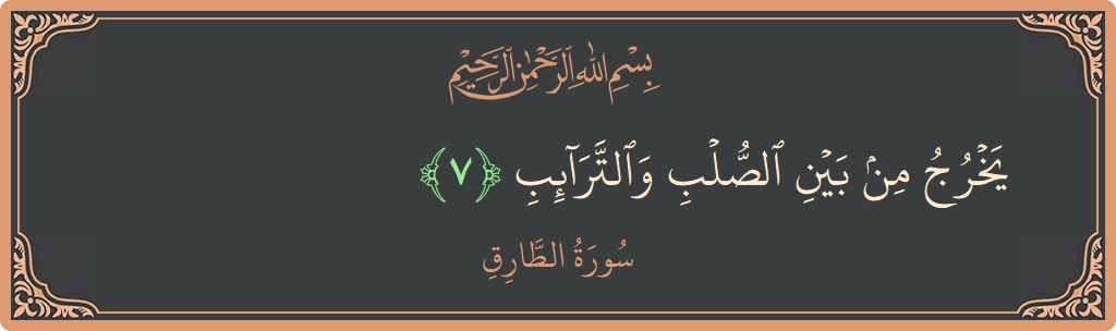 Verse 7 - Surah At-Taariq: (يخرج من بين الصلب والترائب...) - English