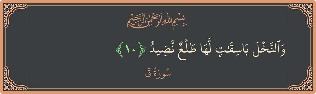 Ayat 10 - Surah Qaaf: (والنخل باسقات لها طلع نضيد...) - Indonesia